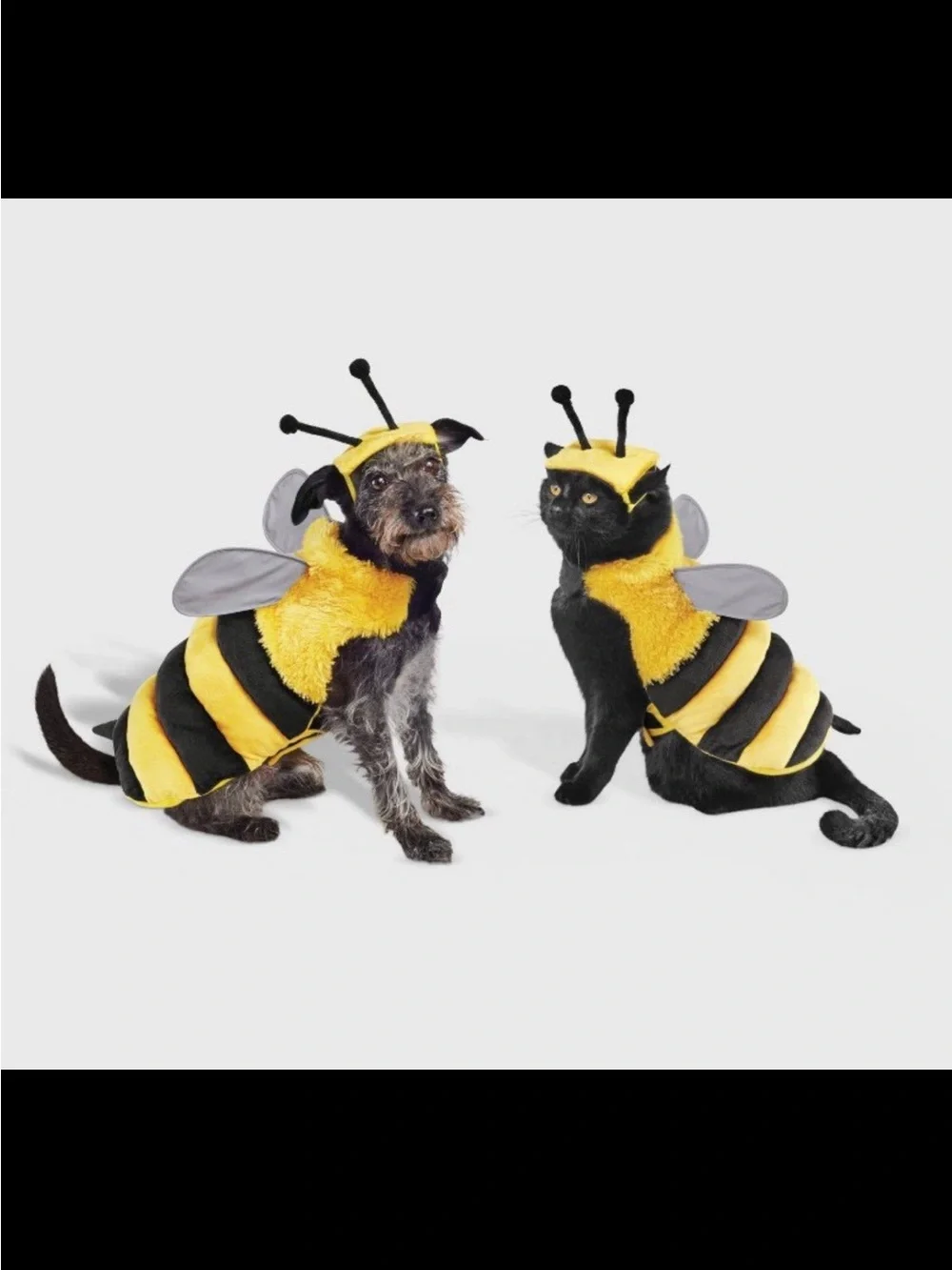 BOOTS & BARKLEY yellow bumblebee Halloween costume size medium